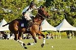 IPC-Polo-1-8-17-6726-DDeRosaPhoto