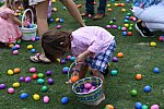 IPC-Easter-4-16-17-5242-DDeRosaPhoto