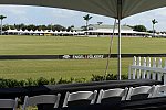 IPC-Polo-1-1-17-5836-DDeRosaPhoto