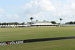 IPC-Polo-1-1-17-5856-DDeRosaPhoto