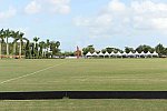 IPC-Polo-1-1-17-5858-DDeRosaPhoto