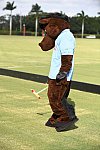 IPC-Polo-1-1-17-1107-DDeRosaPhoto