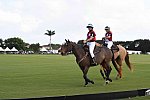 Polo Game