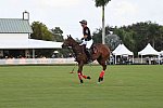 IPC-Polo-1-1-17-1074-DDeRosaPhoto