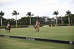 IPC-Polo-1-1-17-1082-DDeRosaPhoto