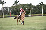 IPC-Polo-1-1-17-1088-DDeRosaPhoto