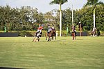 IPC-Polo-1-1-17-1249-DDeRosaPhoto