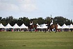 IPC-Polo-1-1-17-1306-DDeRosaPhoto