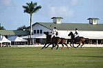 IPC-Polo-1-1-17-1318-DDeRosaPhoto