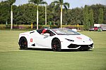 IPC-Polo-1-1-17-1130-DDeRosaPhoto