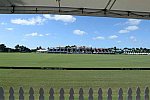 Around the Grounds