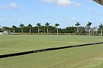 IPC-Polo-1-8-17-6297-DDeRosaPhoto