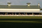 IPC-Polo-1-8-17-6715-DDeRosaPhoto