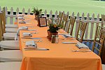 IPC-Polo-1-8-17-6298-DDeRosaPhoto