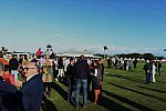 IPC-Polo-1-8-17-1766-DDeRosaPhoto