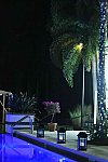 IPC-NYE-12-31-16-0976-DDeRosaPhoto