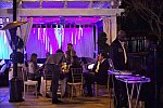 IPC-NYE-12-31-16-1021-DDeRosaPhoto
