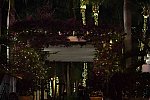 IPC-NYE-12-31-16-1022-DDeRosaPhoto