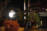 IPC-NYE-12-31-16-1023-DDeRosaPhoto