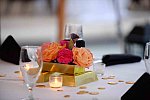 IPC-Goldfinger-4-12-17-2457-DDeRosaPhoto