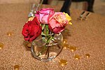 IPC-Goldfinger-4-12-17-4388-DDeRosaPhoto